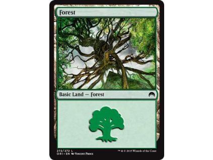 Forest
