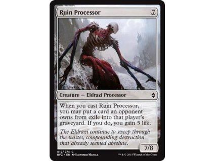 Ruin Processor