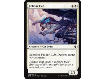 Felidar Cub
