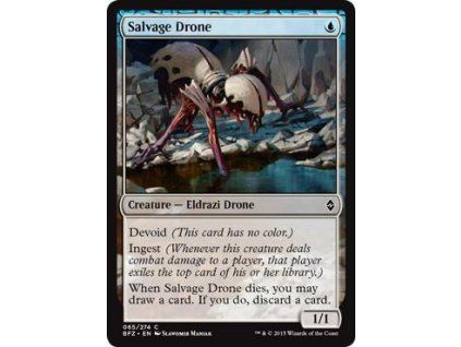 Salvage Drone