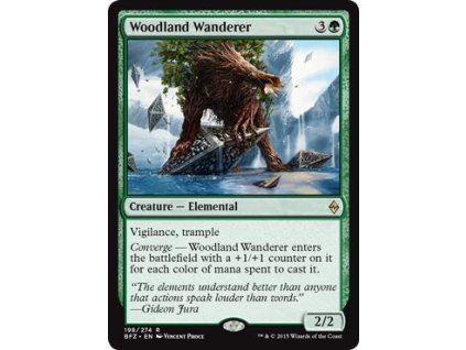 Woodland Wanderer