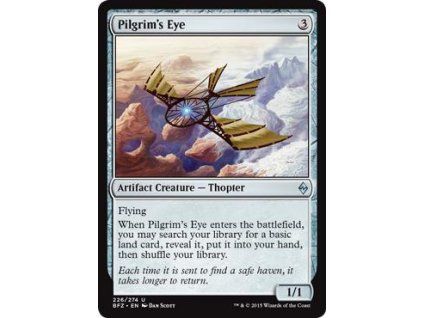 Pilgrim's Eye