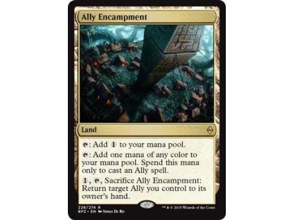 Ally Encampment