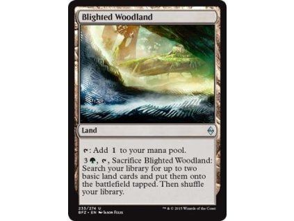 Blighted Woodland