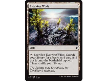 Evolving Wilds