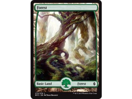 Forest - Full Art (Foil ANO, Stav Near Mint)