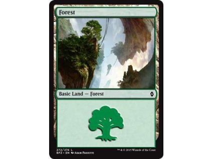 Forest
