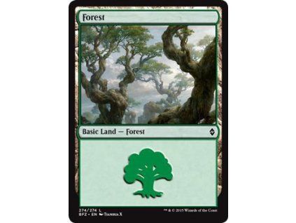 Forest