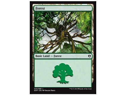Forest