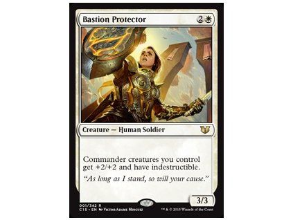 Bastion Protector