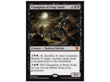 Champion of Stray Souls