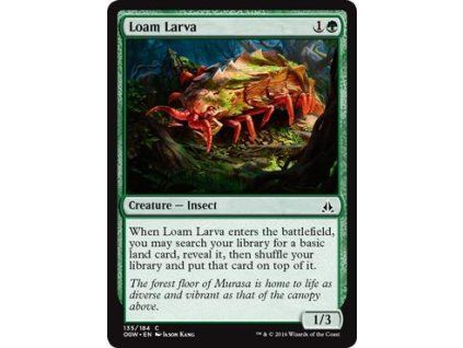 Loam Larva
