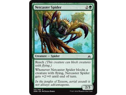 Netcaster Spider