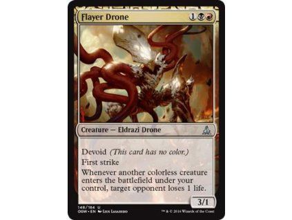 Flayer Drone