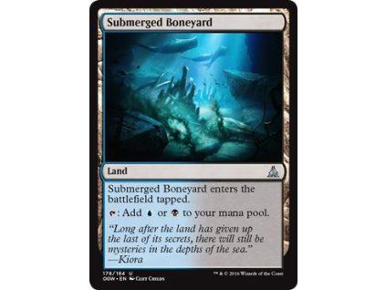 Submerged Boneyard
