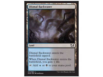 Dismal Backwater