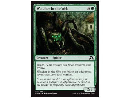 Watcher in the Web