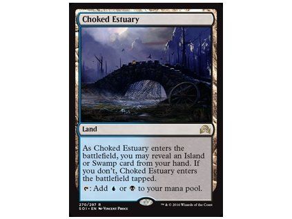 Choked Estuary