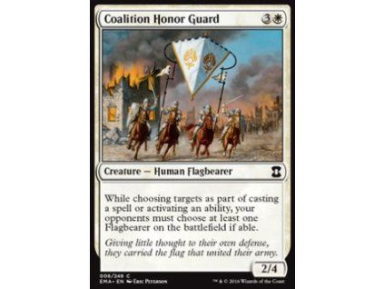 Coalition Honor Guard