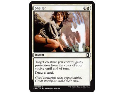 Shelter