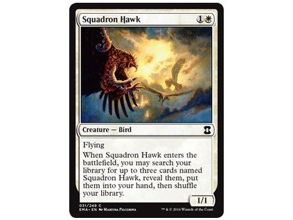 Squadron Hawk