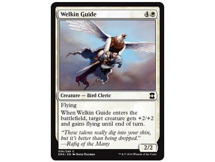 Welkin Guide