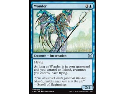 Wonder (Foil NE, Stav Near Mint)