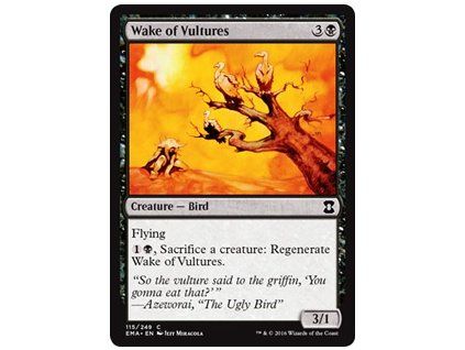 Wake of Vultures