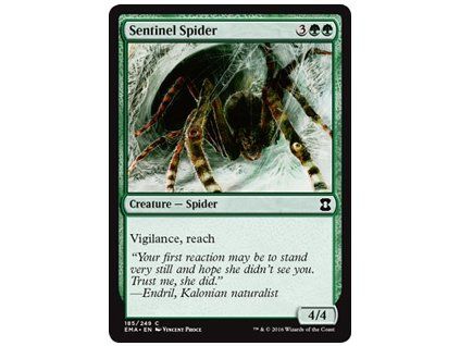 Sentinel Spider