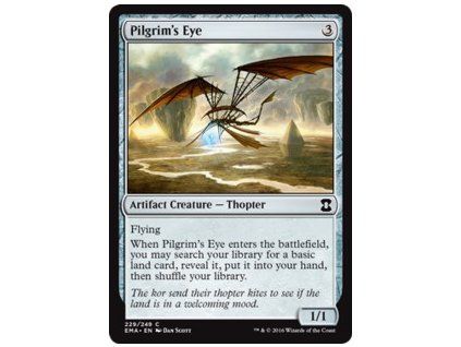 Pilgrim's Eye