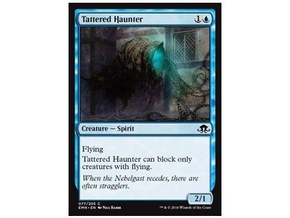 Tattered Haunter