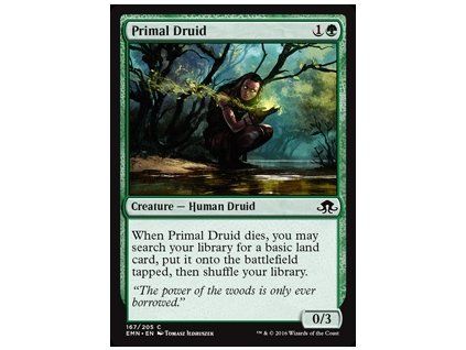 Primal Druid