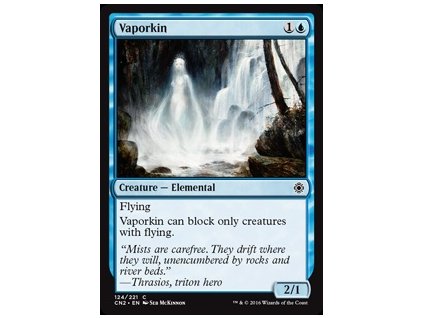 Vaporkin