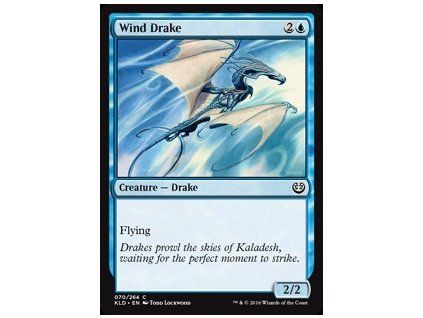 Wind Drake