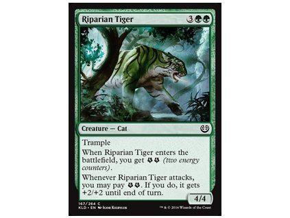 Riparian Tiger