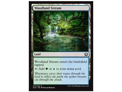 Woodland Stream
