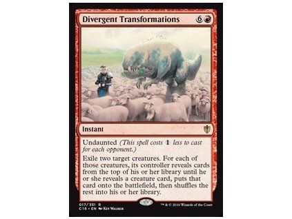 Divergent Transformations