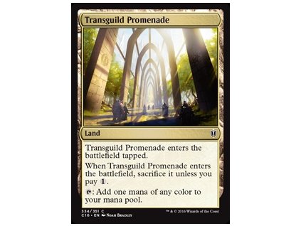 Transguild Promenade (Foil NE, Stav Near Mint)