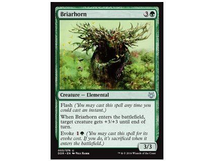 Briarhorn