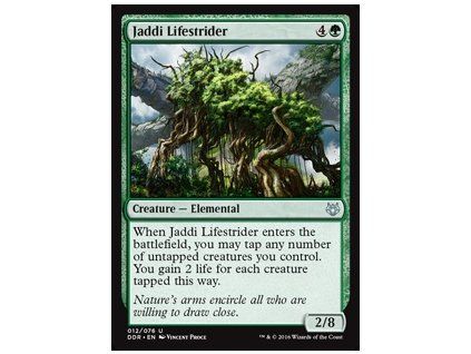 Jaddi Lifestrider