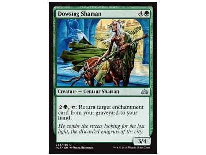 Dowsing Shaman (Foil NE, Stav Near Mint)