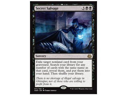 Secret Salvage