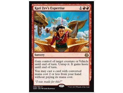 Kari Zev's Expertise