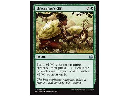 Lifecrafter's Gift