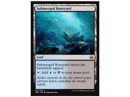 Submerged Boneyard