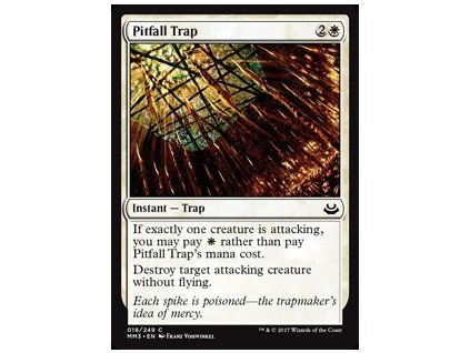 Pitfall Trap