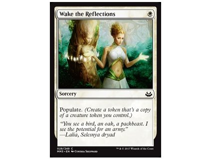 Wake the Reflections (Foil ANO, Stav Near Mint)
