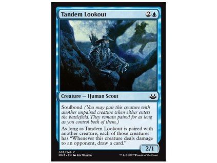 Tandem Lookout