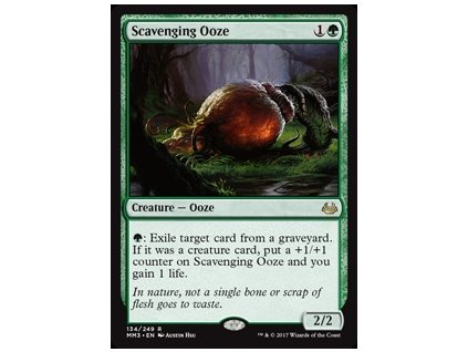 Scavenging Ooze (Foil NE, Stav Near Mint)