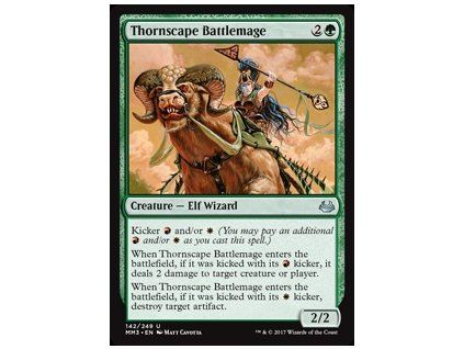 Thornscape Battlemage
